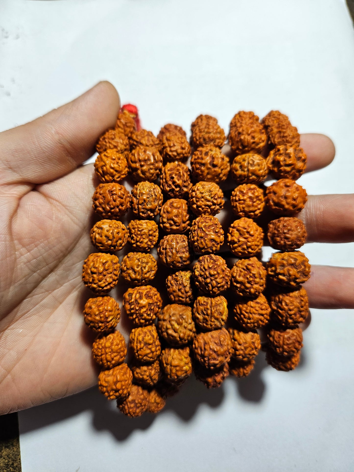 Rudraksha Mala- Five Faced 108 beads (12mm)