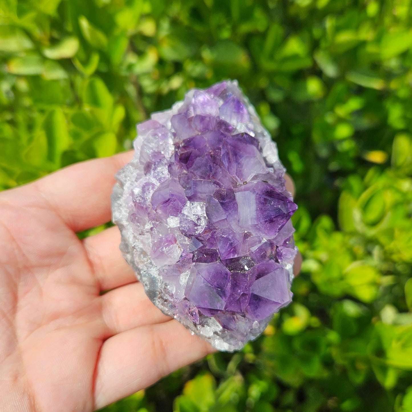 Amethyst Brazilian Cluster- Premium Quality (240g)