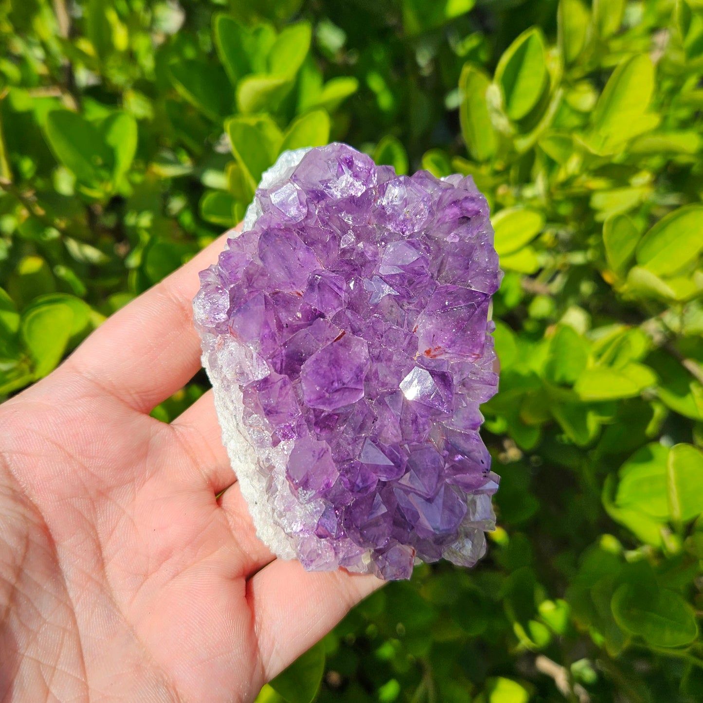 Amethyst Brazilian Cluster- Premium Quality (248g)