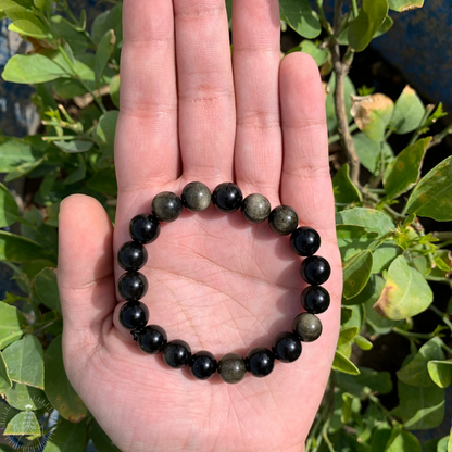 Black Obsidian Golden Sheen Bracelet (10mm)