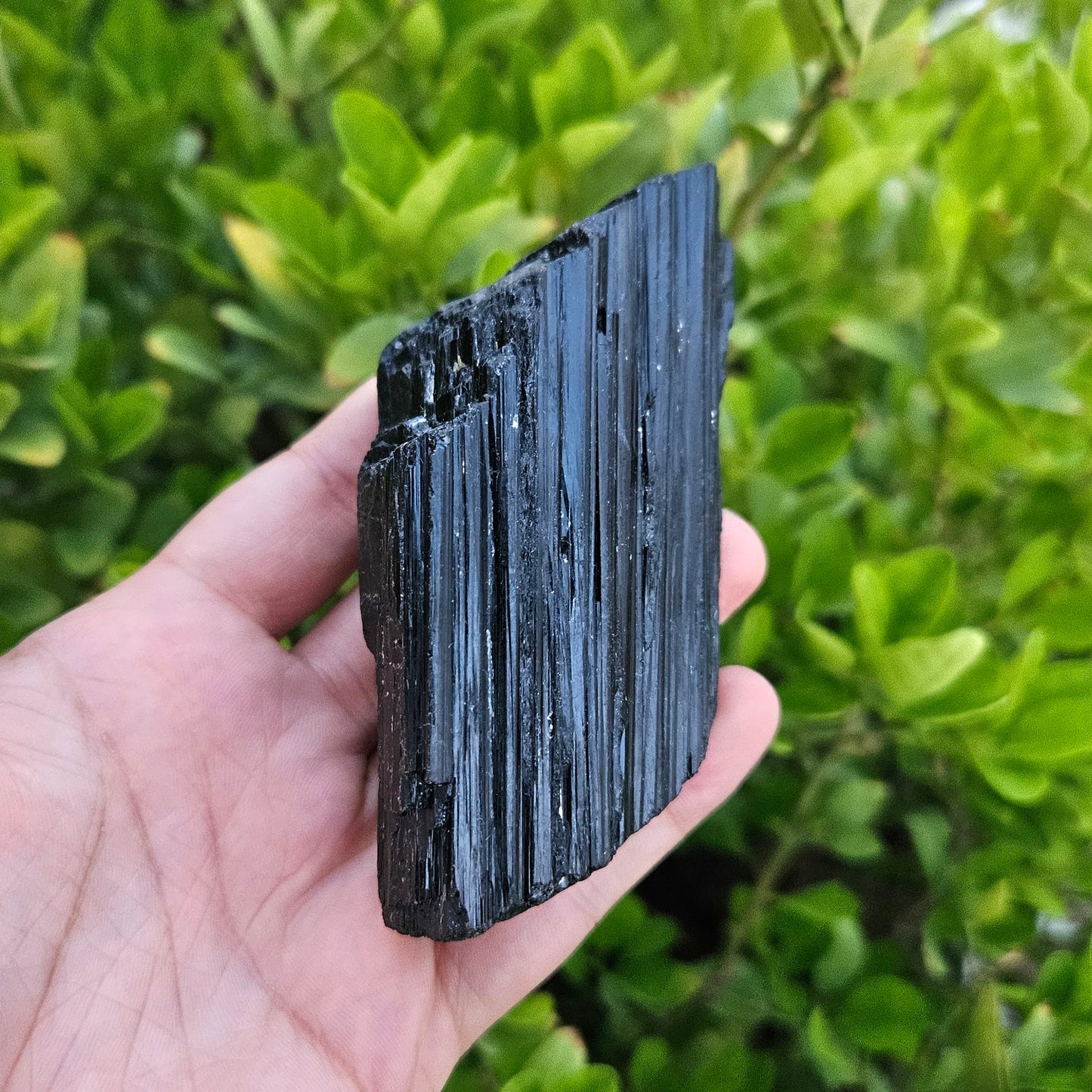 Black Tourmaline Raw 350g