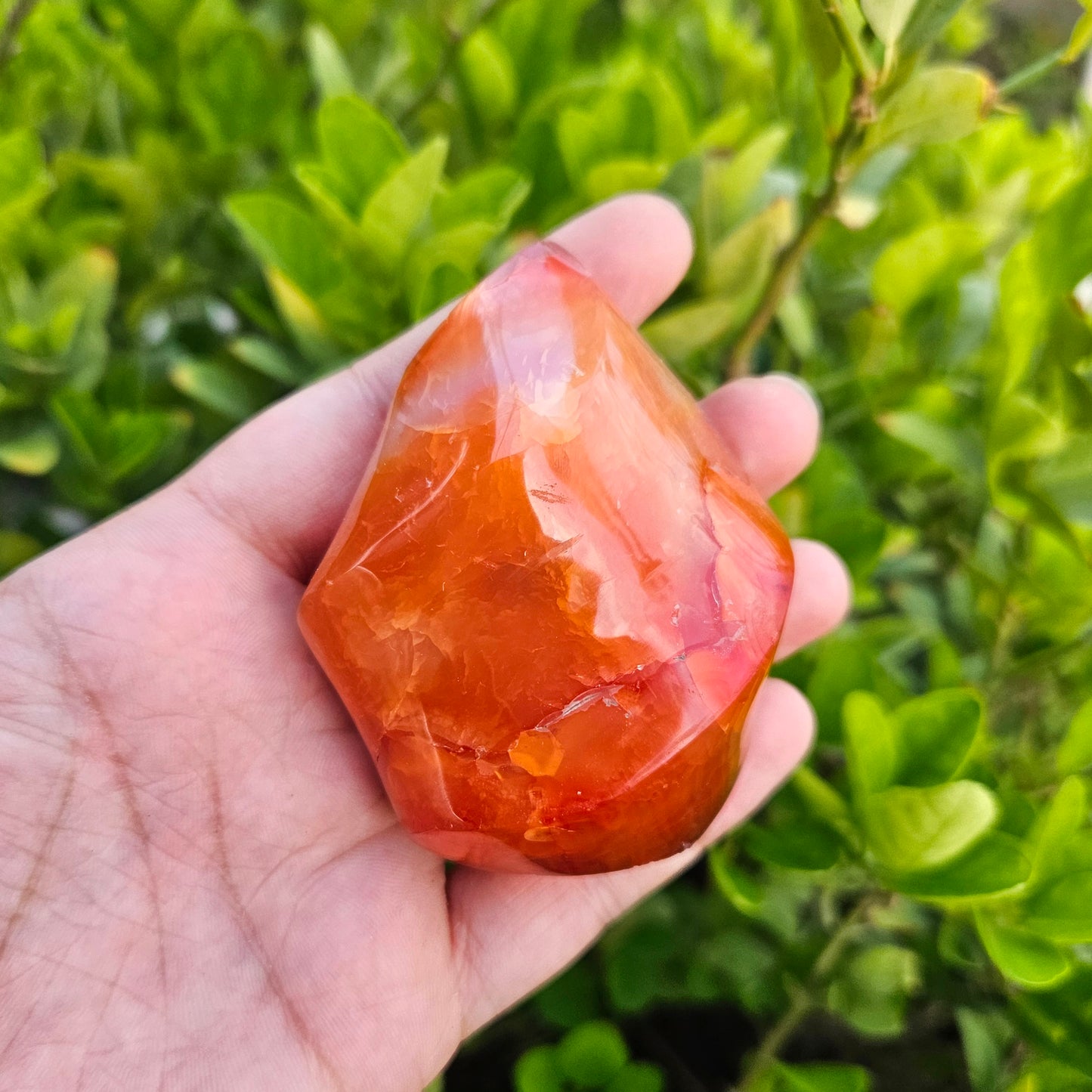 Carnelian Flame Free Form 217g