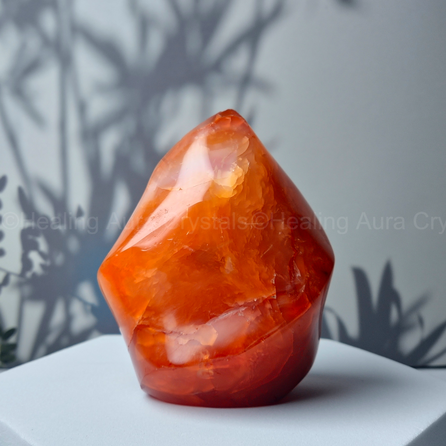 Carnelian Flame Free Form 217g