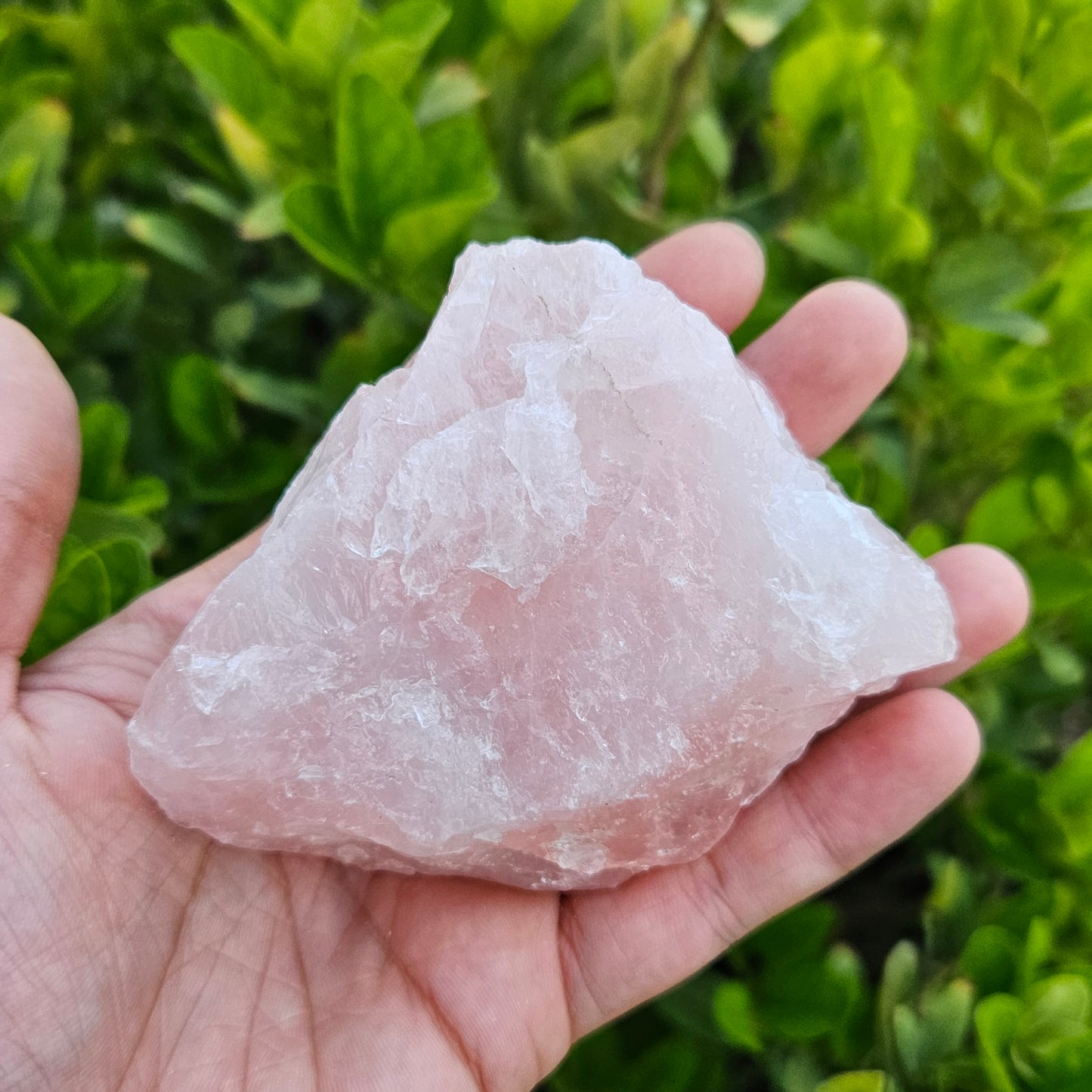 Rose Quartz Raw 318g