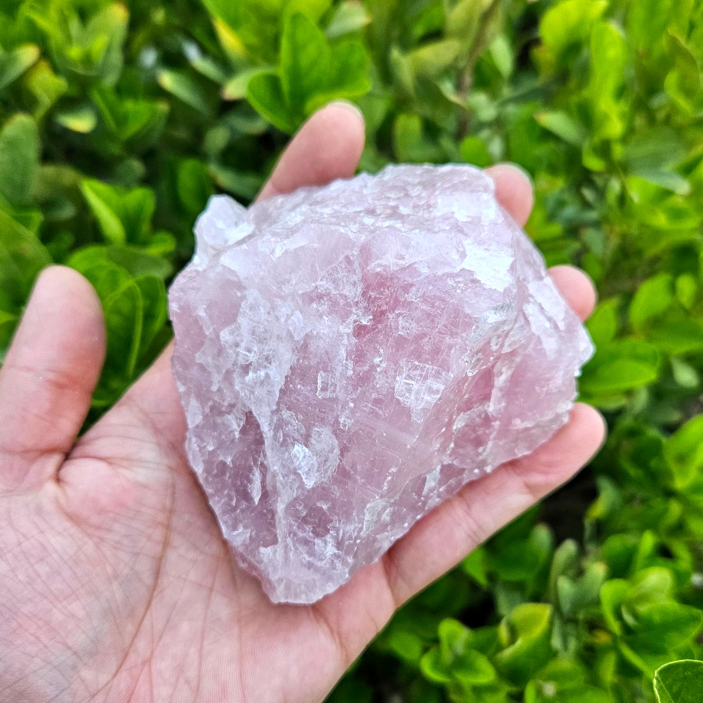 Rose Quartz Raw 441g- Premium Quality