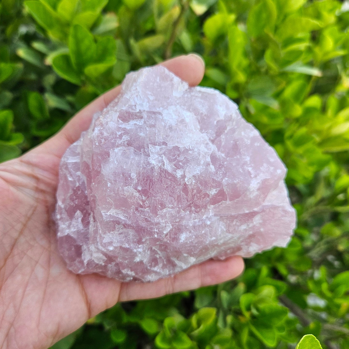 Rose Quartz Raw 472g- Premium Quality