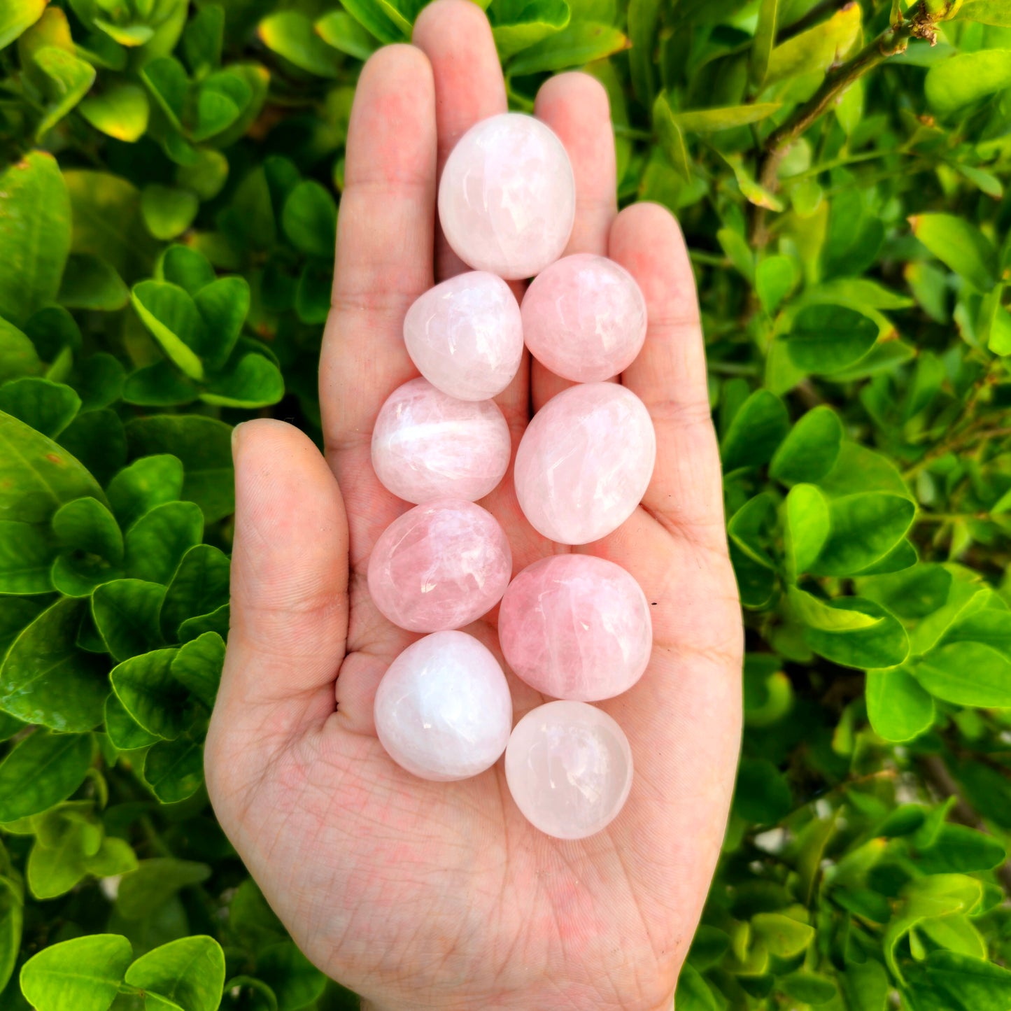 Rose Quartz Tumble- Premium Quality