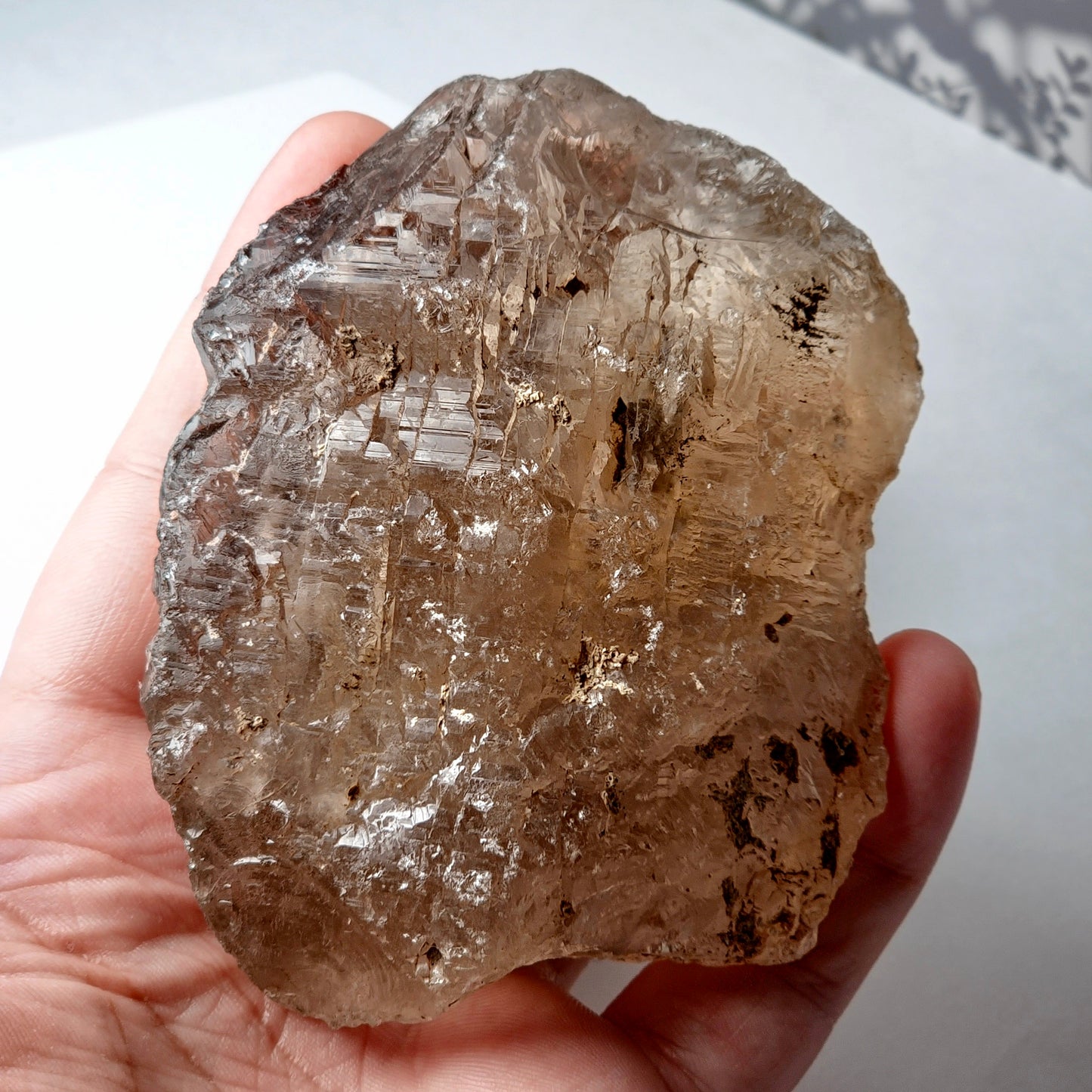 Smoky Quartz Raw 299g