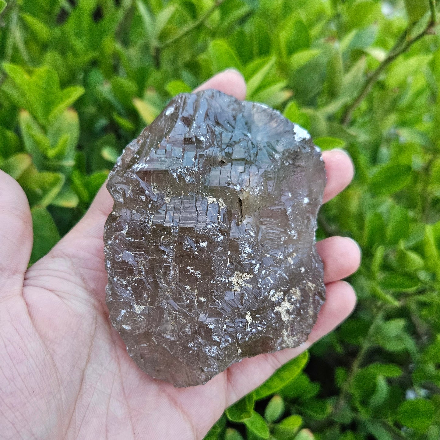 Smoky Quartz Raw 299g