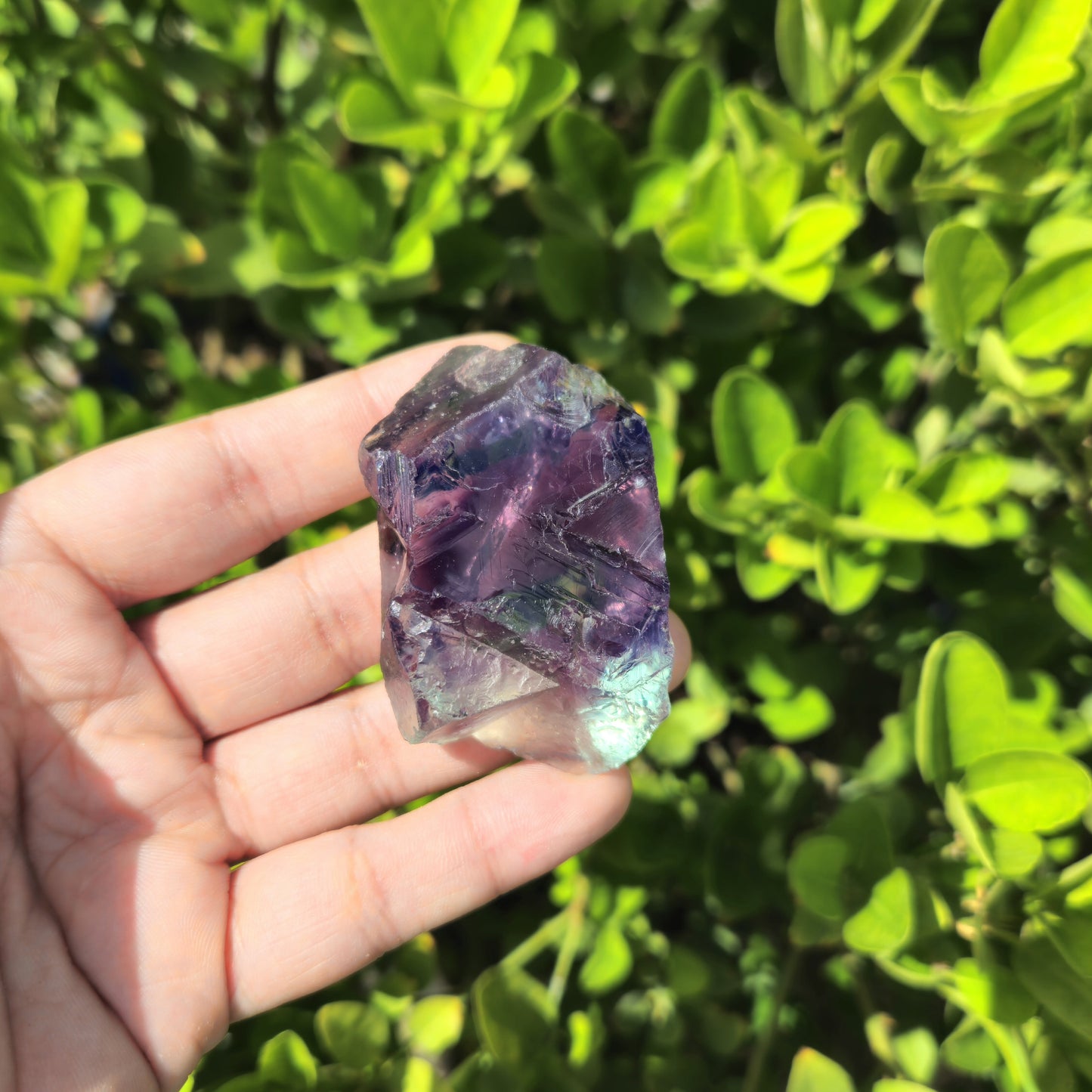 Multi Fluorite Raw- High Grade Gem Quality (82g)