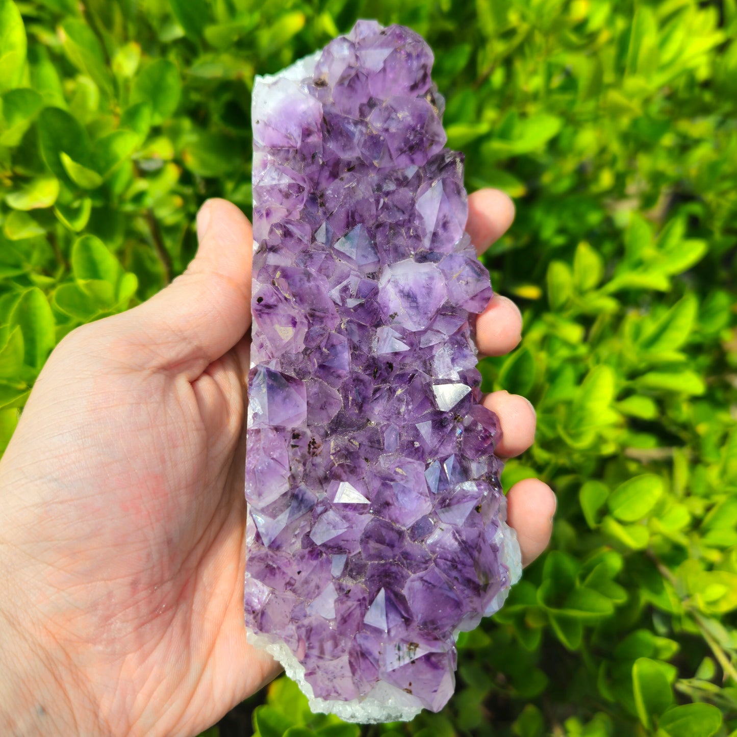 Amethyst Brazilian Cluster- Premium Quality (642g)