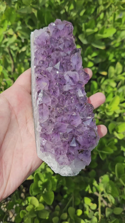 Amethyst Brazilian Cluster- Premium Quality (642g)