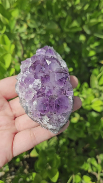 Amethyst Brazilian Cluster- Premium Quality (240g)