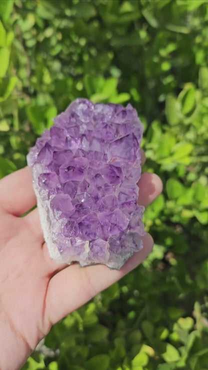 Amethyst Brazilian Cluster- Premium Quality (248g)