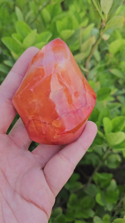 Carnelian Flame Free Form 217g