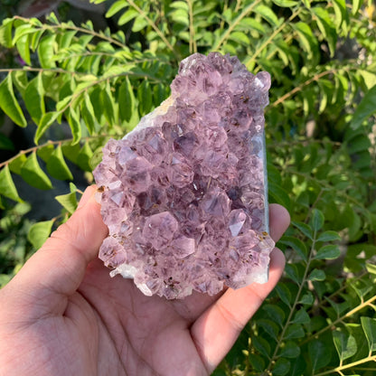 Amethyst Cluster 417g