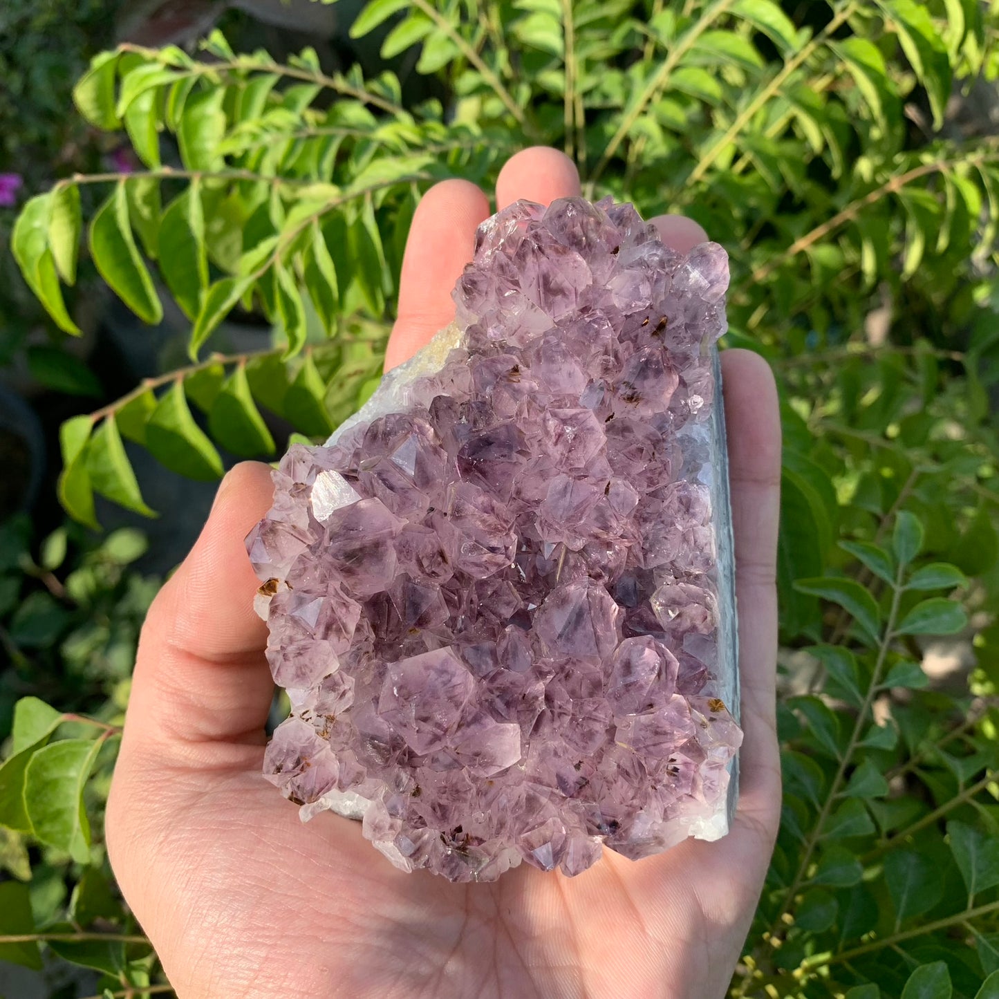 Amethyst Cluster 417g