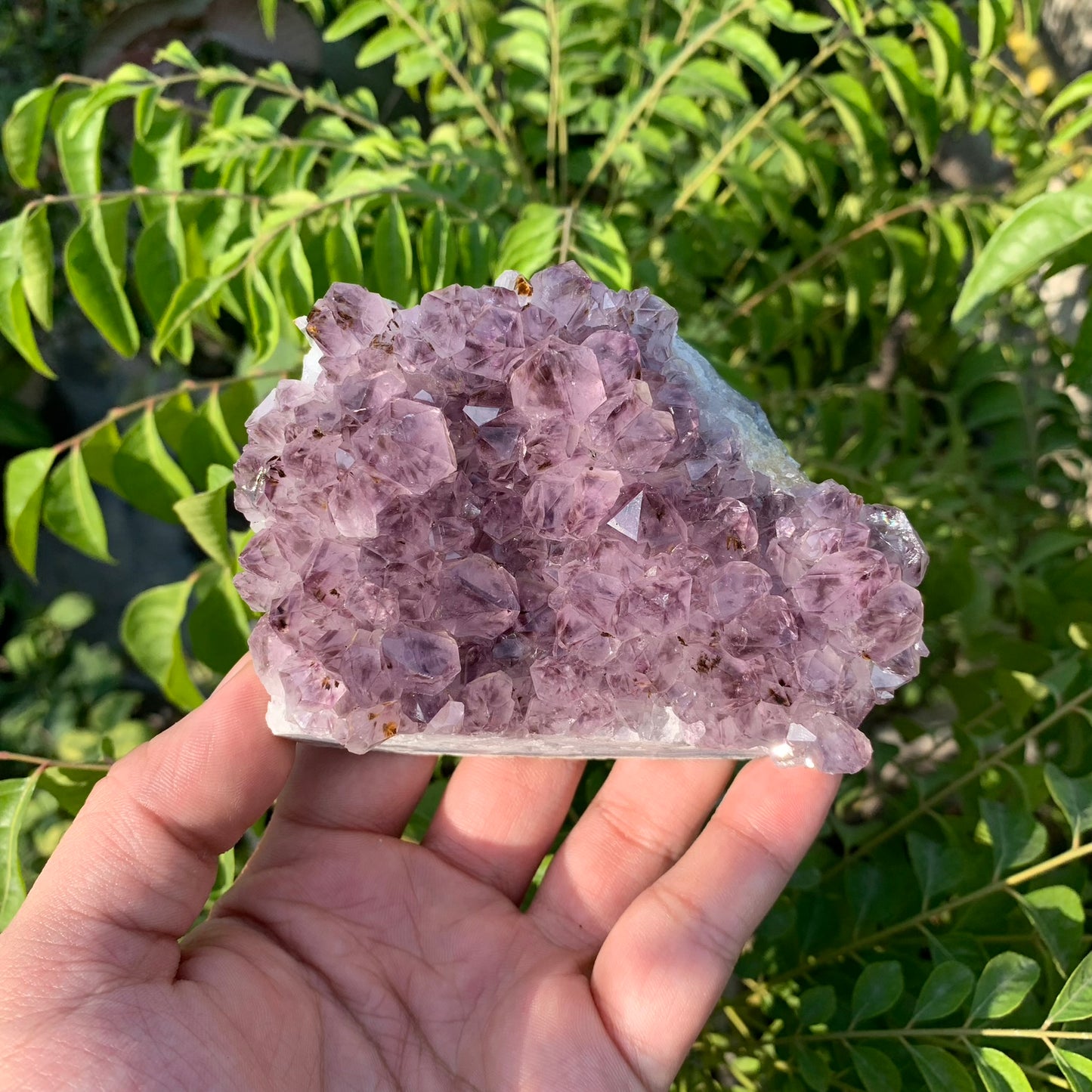 Amethyst Cluster 417g