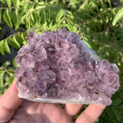 Amethyst Cluster 417g